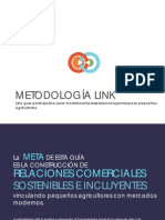 Metodologia LINK Version Resumen