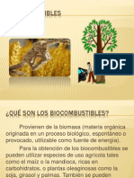 biocombustibles-120516012806-phpapp01