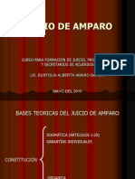 Diapositiva Amparo