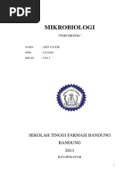 Download Makalah Pneumonia by Adit Taufik SN199175231 doc pdf