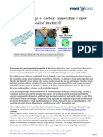 Butterfly Wings Carbon Nanotubes Nanobiocomposite