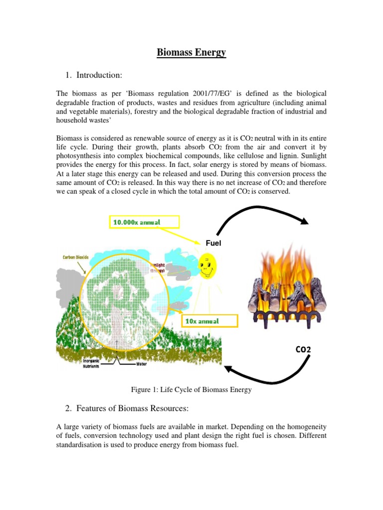 Biomass Energy: Features and Technologies | PDF | Biomass | Biofuel