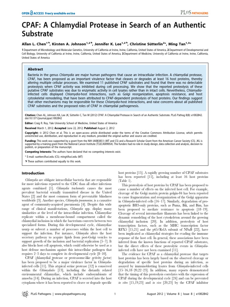 Chlamydia Protein: CPAF | PDF | Proteolysis | Western Blot