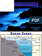 Bioluminescence Organisms Dysphotic Zone