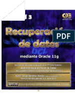 Recuperacion de Datos Con Oracle PDF