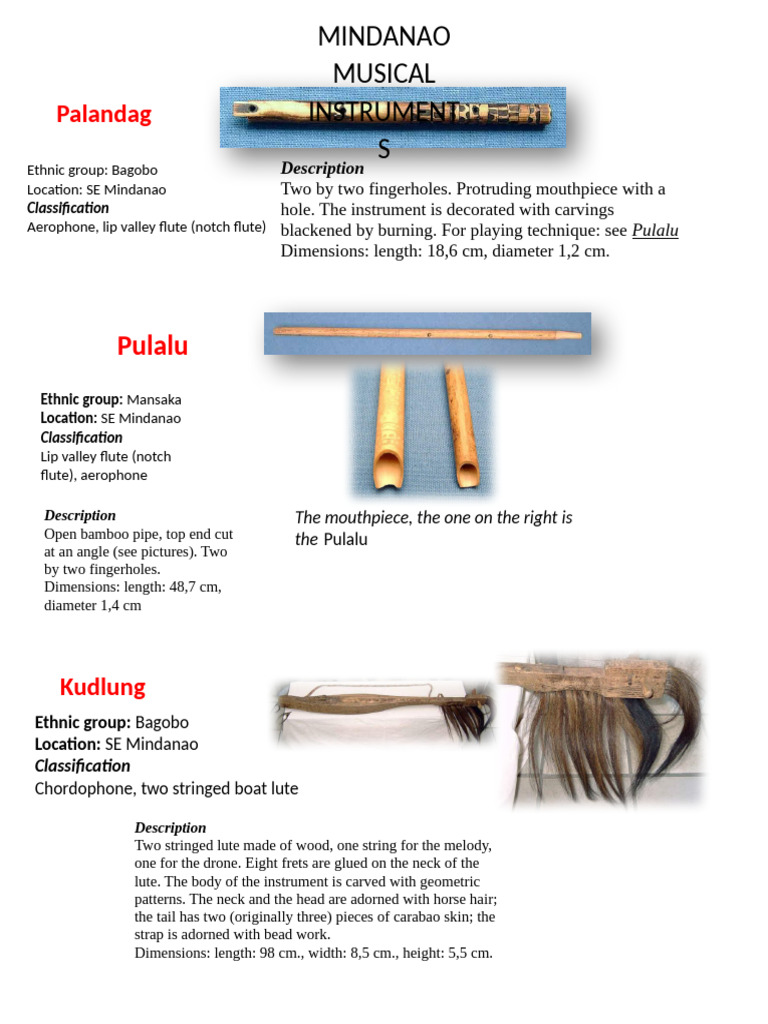Traditional Musical Instruments of Mindanao The Palandag, Pulalu, and Kudlung PDF