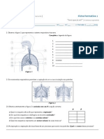 Ficha formativa 2.docx