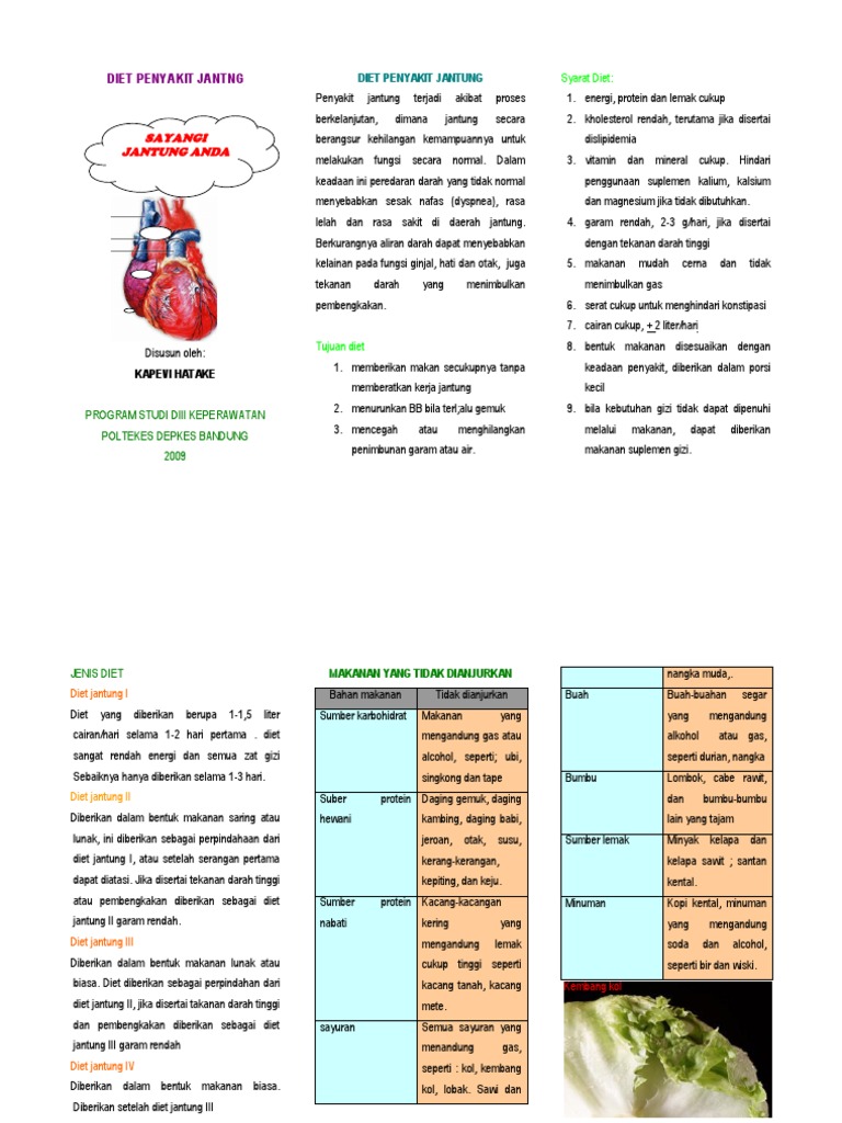 Leaflet Diet Penyakit Jantung
