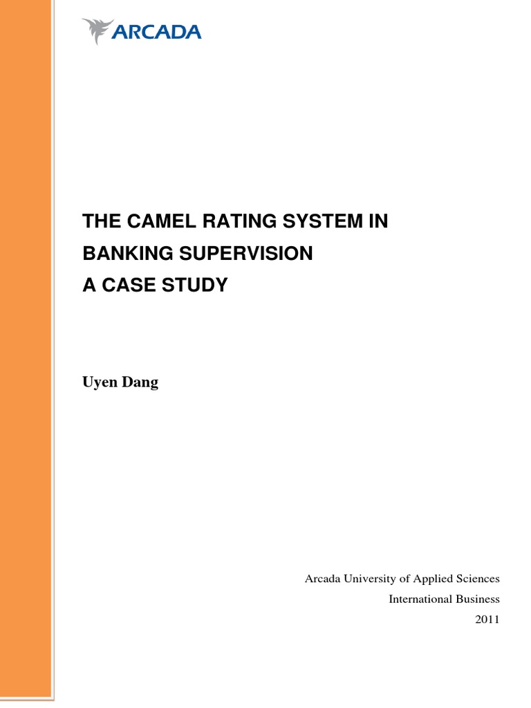 Camel Rating System Capital Requirement Banks