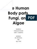 Human Body