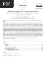Download Structure and composition of calcareous sponge spicules by Lia Palma SN199304353 doc pdf