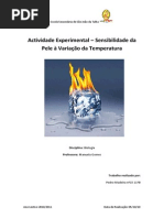 Actividade Experimental - Sensibilidade Da Pele