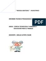 Informe tecnico pedagógico