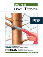 How To Prune Trees