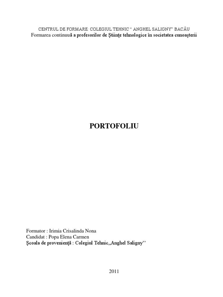 Portofoliu | PDF