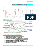 Petrologia Calizas PDF