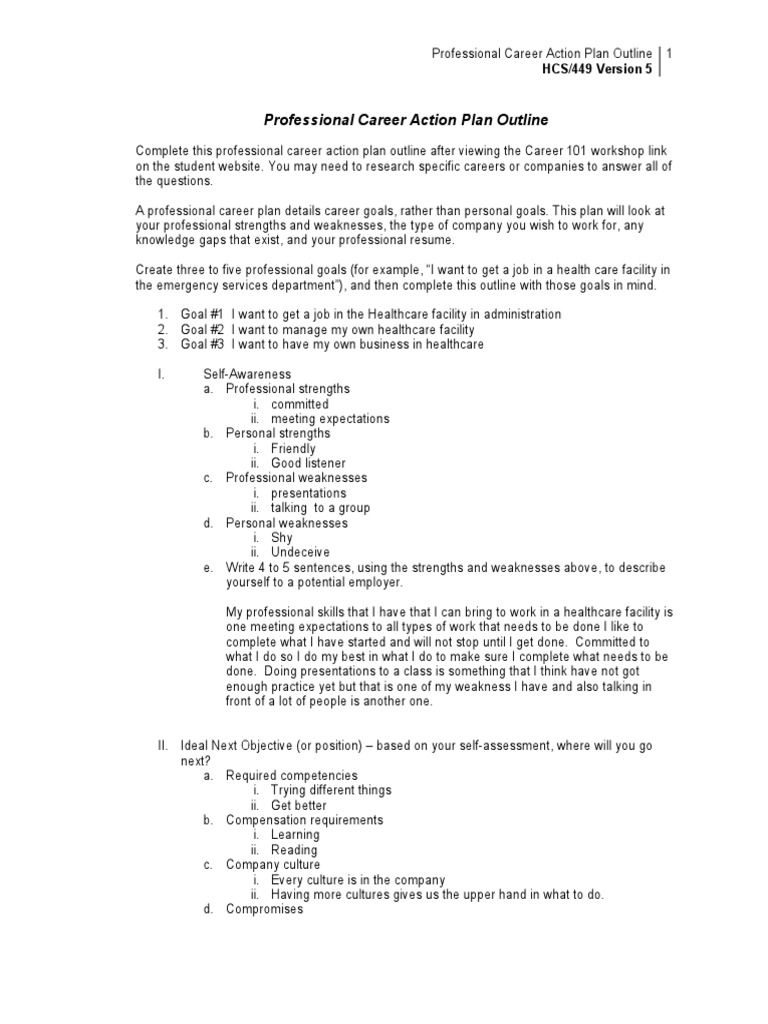 HCS 449 Week 4 Professional Career Plan Health Care Public Health