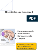 Neurobiologia de La Ansiedad