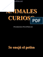 Animales Curio Sos