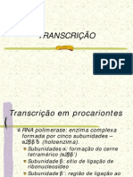 transcricao