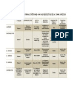 Esquema Formas Jurídicas