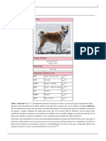 Akita Inu PDF