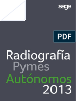 Radiografia Pymes y Autónomos-2013
