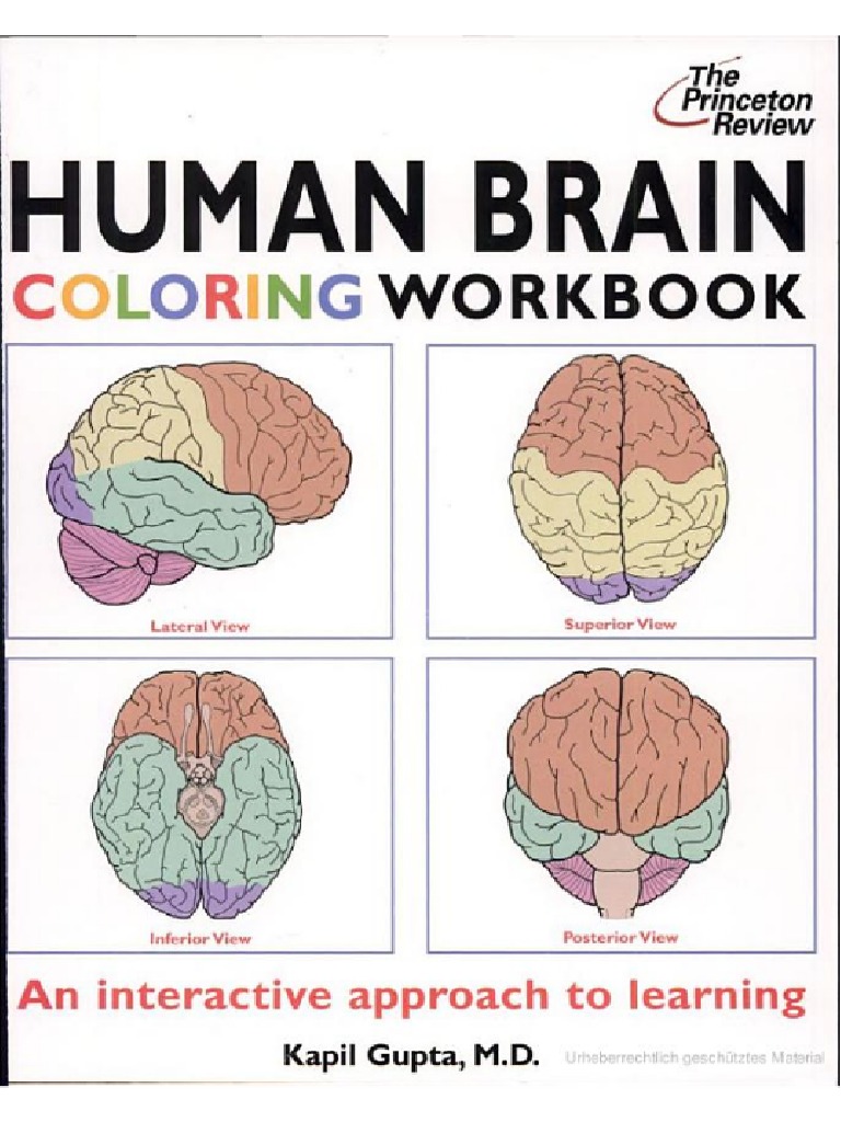 Human Brain Coloring Workbook