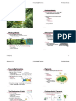 Photosynthesis: Biology 1020 Principles & Themes Photosynthesis