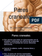 parescraneales-120925195627-phpapp02