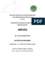 AMPARO_AUTOEVALUACIONes.docx