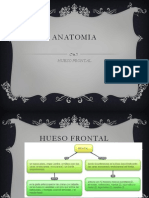 anatomia-120801155023-phpapp01