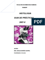 GUIA_PRACTICAS_2007-II