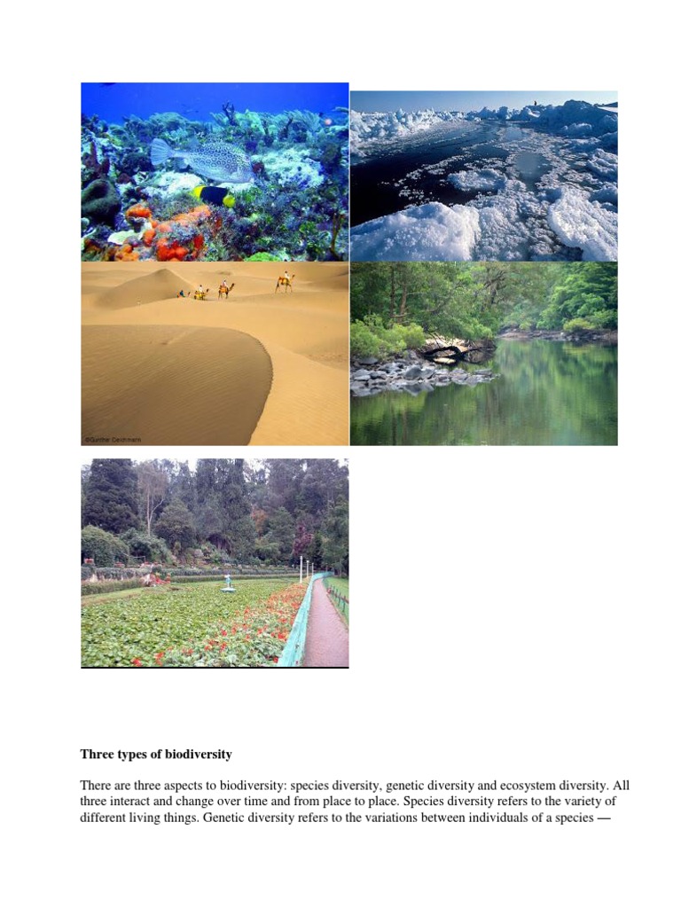 Three Types of Biodiversity | PDF | Genetic Diversity | Biodiversity