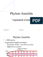 Phylum Annelida: "Segmented Worms"