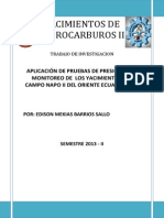 Aplicacion de Pruebas de Presion en Yacimientos Del Campo Napo II