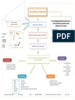 Mapa Conceptual Relato Pedagogico. 1