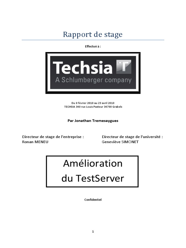 Rapport De Stage Techsia 2010 Php Informatique
