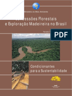 Concessões florestais sustentáveis