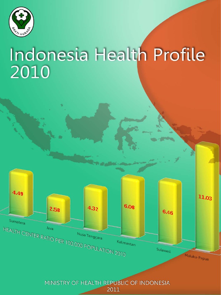 Indonesia Health Profile 2010 | PDF | Workforce | Public Health