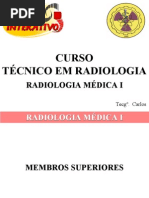 Anatomia Membros Superiores