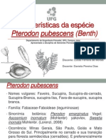 Características Pterodon pubescens