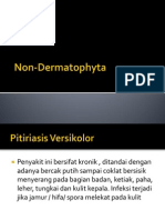 Non Dermatophyta