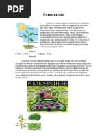 Download Fotosintesis by Hannifah Fitriani SN19967089 doc pdf