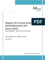 Rapport TP Microbiologie Des Eaux Usees