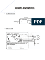 Sistema Excretor PDF