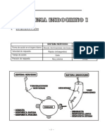 14. Sistema endocrino I.pdf