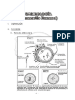 Embriologia PDF