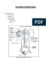 Aparato urinario.pdf