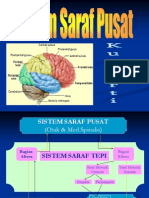 Sistem Saraf Pusat Faal